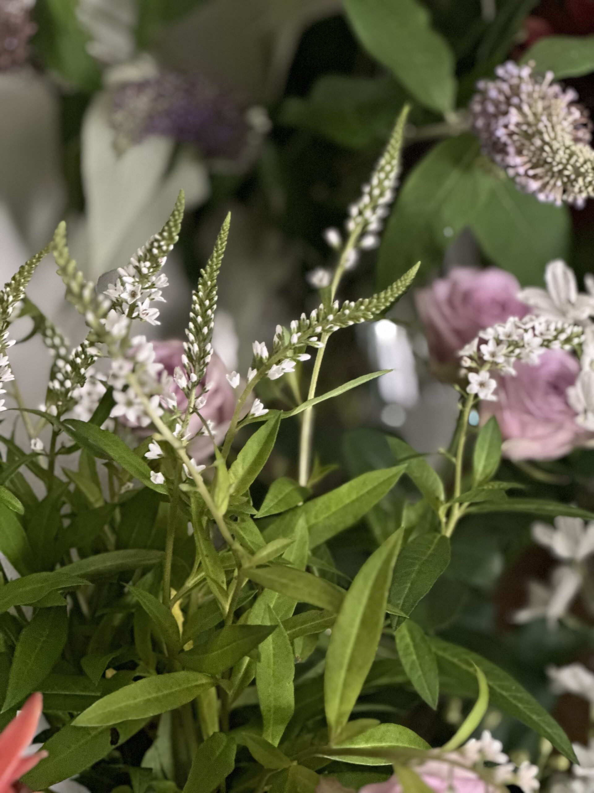 お花の選び方 花材選択のコツ – 花屋のテクニックノート